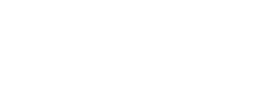 ezfly